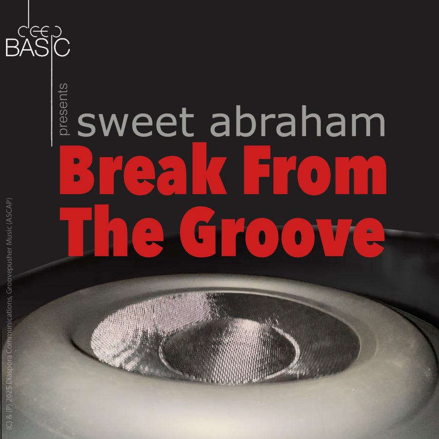 Break from the Groove EP [2025]