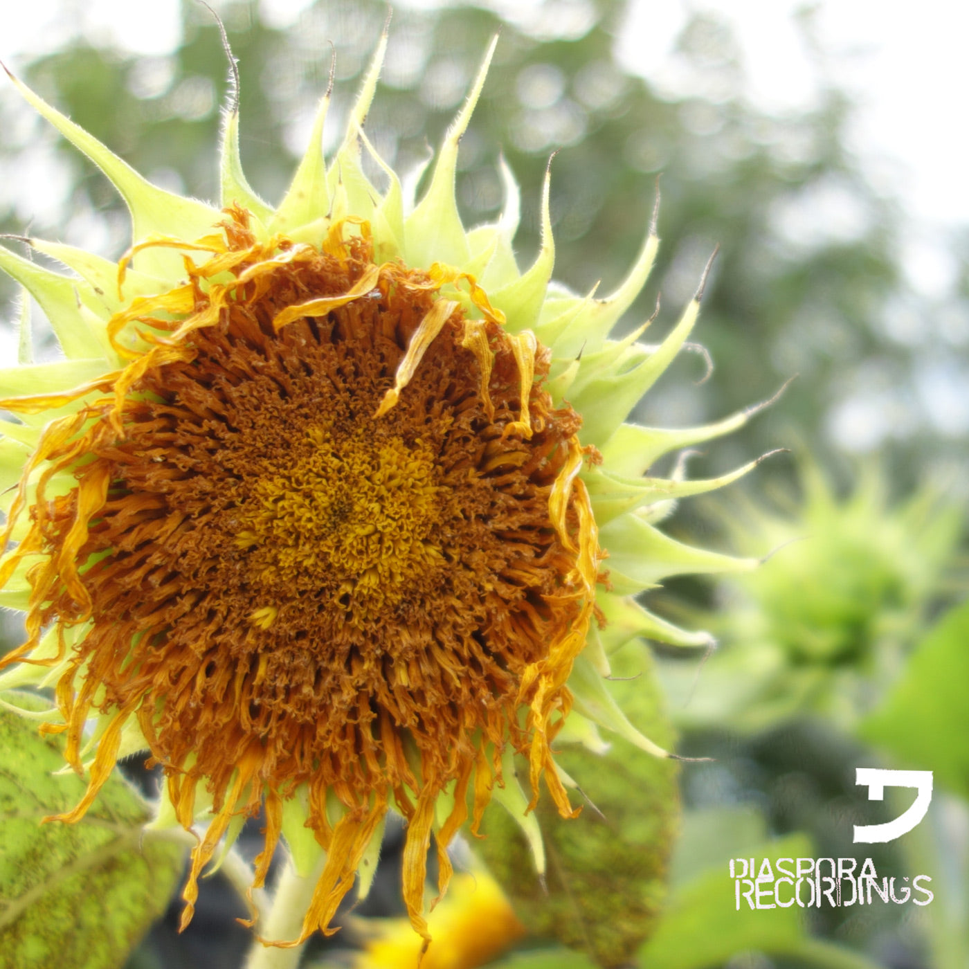 (DIA030) Life Stage Pt. 3 [2014]