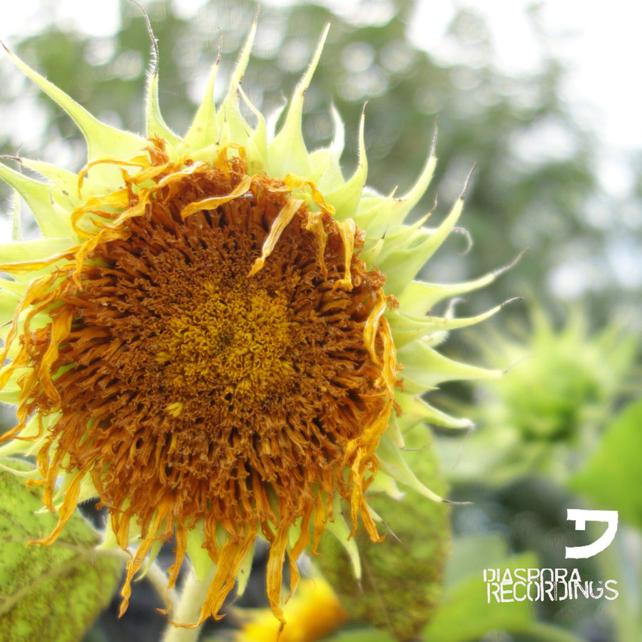 (DIA030) Life Stage Pt. 3 [2014]